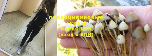 гашик Балахна