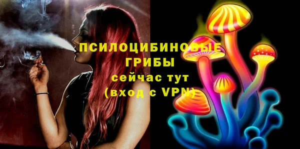 гашик Балахна