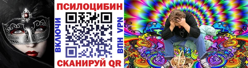 Галлюциногенные грибы Cubensis  Купить закладки  Сураж 